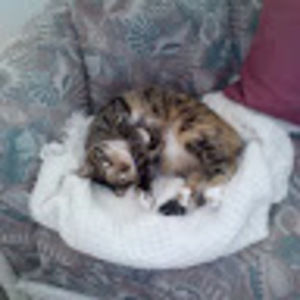 Meet your Posher, Elaine